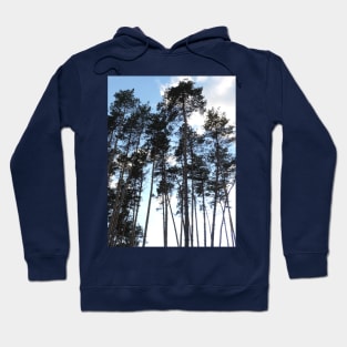 Pine Tree Silhouette Hoodie